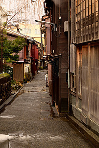 观赏金泽经典的日本小巷石头阳光路面风景叶子植物荒野池塘公园树叶图片