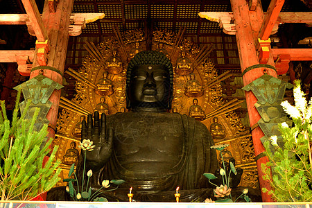 东济寺大佛像的紧闭神社大佛寺庙木头世界大厅纪念碑旅行建筑学遗产图片