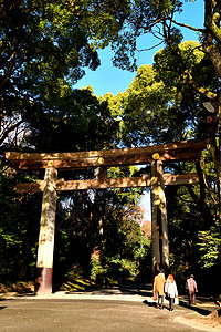 紧紧关上明治镇久神庙的 一个巨头佛教徒旅行神社木头宗教神道寺庙传统文化原宿图片