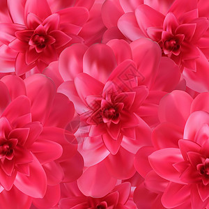五颜六色的自然主义盛开的粉红色山茶花图案背景 它制作图案矢量植物群植物花瓣茶花季节植物学花园插图叶子花束图片