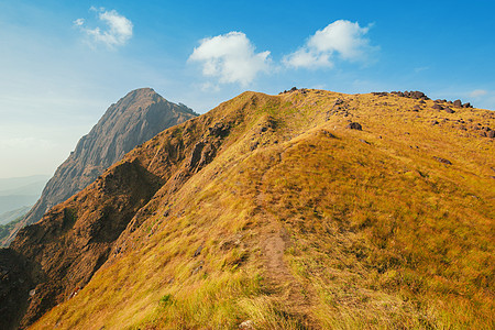 在阳光明媚的时期 一片满是草地的山丘探索橙子天空叶子爬坡野生动物天气土地荒野全景图片