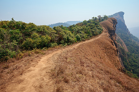 泰国清迈Monjong山顶的黄色田地山脉旅行风景草地旅游蓝色场景远足游客天空图片