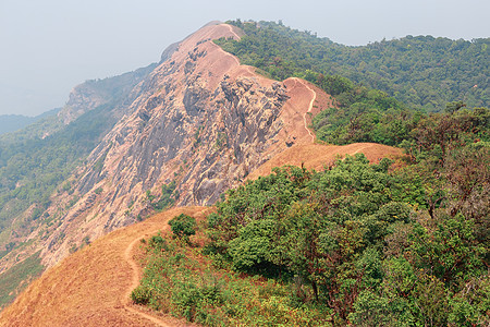 泰国清迈Monjong山顶的黄色田地顶峰场景土井森林蓝色天空旅行远足旅游草地图片