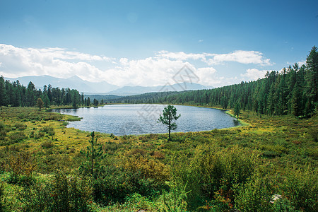 Altai山的Kidelyu湖旅游全景山脉地形树木岩石森林阳光环境高地图片
