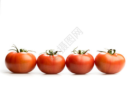 四只现实的红番茄 一条白底线上隔开的白色西红柿图片