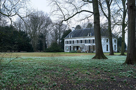 在阿米利斯韦尔德乌得勒支 荷兰古老的豪宅有清凉和充斥着雪铃的堡垒草原白色场地旅行蓝色季节树叶植物大厦绿色图片