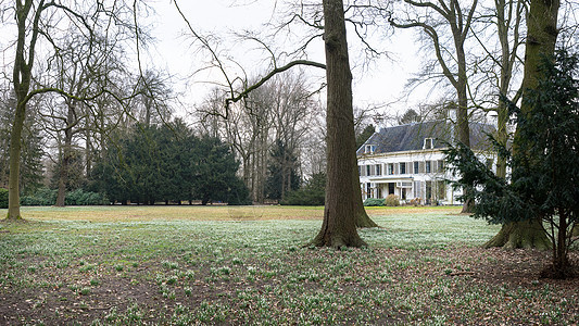 在阿米利斯韦尔德乌得勒支 荷兰古老的豪宅有清凉和充斥着雪铃的堡垒旅行树叶蓝色大厦季节灰色绿色草原白色野花图片