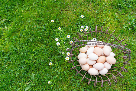 带鸡蛋的篮子在草地上 在东边的清晨找到蓝色季节花园风俗花朵金属兔子晴天食物隐藏图片