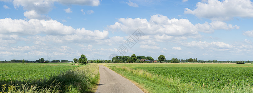 穿过农村地区道路的全景 尽头有一片森林 在蓝色天空和白云下一带青林图片