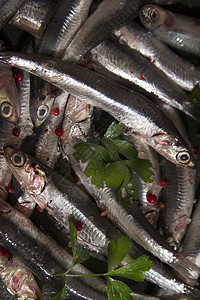 新鲜的anchovy动物海鲜食物烹饪午餐营养图片