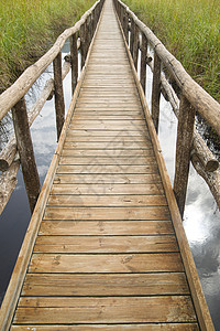 木电杆上的步行道路沼泽绿色小路旅游沼泽地木头环境公园图片