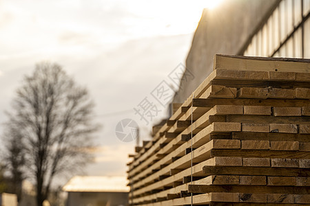在锯木厂存放成堆的木板 木板堆放在木工车间 木材的锯切干燥和销售 用于家具生产 建筑的松木 木材业木头木匠森林资源制造业加工铺板图片