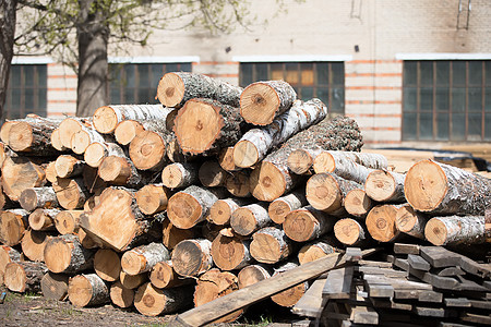 木材加工厂的原木 工业植物制造业林业日志机器记录生产作坊环境院子图片