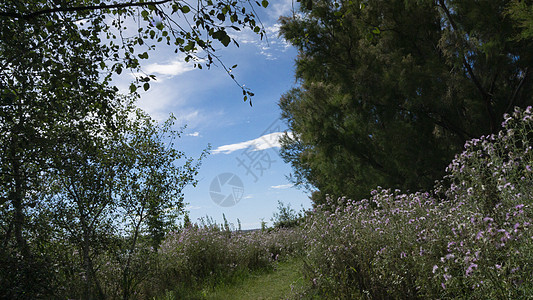 巴塞罗纳市郊自然公园 位于巴塞罗纳花朵池塘公园风格农场闲暇绿地蓝色土地环境图片
