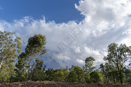 Bushland 外背布斯科兰景观图片