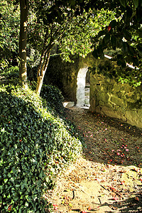 位于波尔图的易德水晶宫花园观光港口新星路面博物馆植被石头花园小路旅行图片
