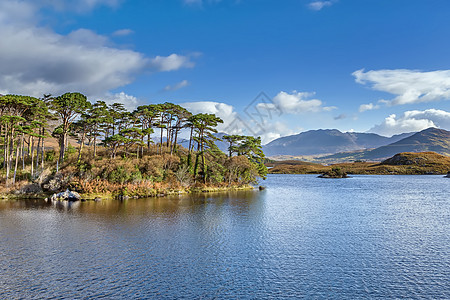 爱尔兰戈尔韦县湖风景与湖泊天空全景旅行国家爬坡蓝色荒野公园松树图片