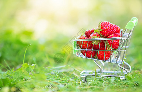 草莓在绿草地上的超市的墨盒 美丽的夏天浆果图片