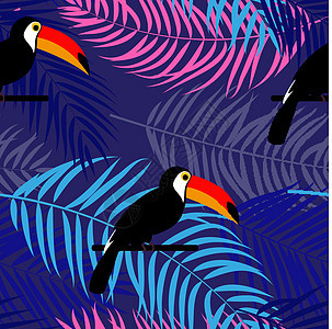 热带巨嘴鸟鸟和棕榈叶无缝图案背景设计 它制作图案矢量打印情调异国纺织品海滩动物鸟类丛林树叶艺术图片