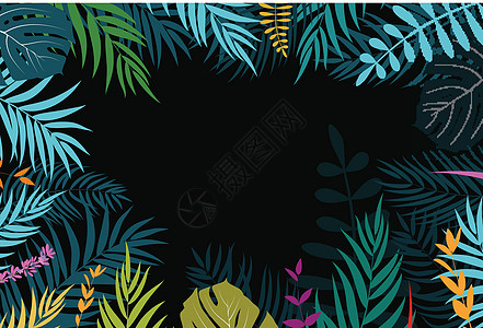 Beautifil 棕榈树叶子剪影背景向量它制作图案椰子条纹动画片绿色框架白色热带植物地平线旅行图片