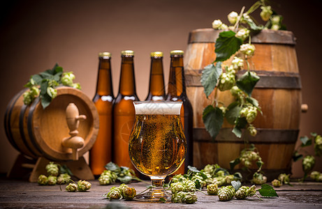 喝着啤酒的活生生玻璃棕色瓶子饮料作品地窖乡村酒吧酒花静物图片