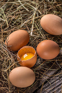 棕鸡蛋农场母鸡稻草静物食物早餐干草产品蛋壳乡村图片
