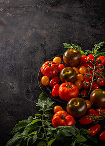 新鲜有机番茄树叶花园农业园艺蔬菜生活叶子绿色黑色食物背景图片