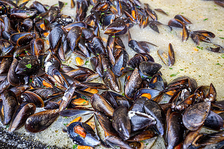 蒸汽贝贝黑色美食贝类海鲜食物盘子香菜图片