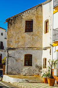 美丽 图片化的街道 狭窄的道路 白色建筑物外墙 西班牙建筑车道窗户房子访问棕榈建筑学行人中心地标太阳图片
