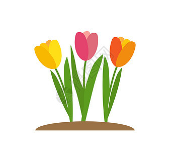 春天郁金香花背景矢量图制作图案打印花瓣织物装饰品季节雕刻粉色白色花朵红色图片