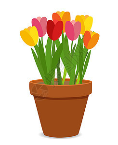 花盆矢量它制作图案中的春天郁金香花装饰品白色植物群植物红色花朵绿色打印季节雕刻图片