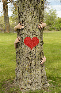 植树包围环境主义者拥抱女士植物木头手势树干生态庆典情人拥抱者图片