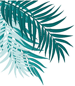 Beautifil 棕榈树叶子剪影背景向量它制作图案热带气候动画片曲线插图森林椰子框架植物衬套图片
