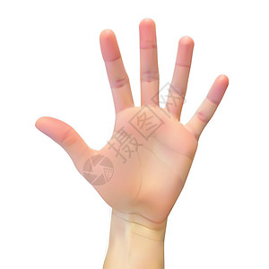 白色背景上张开的手的逼真 3D 轮廓 它制作图案矢量手指手势绘画卡通片帮助插图皮肤手臂拇指图片