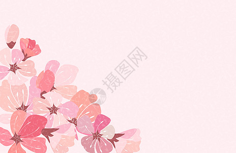 抽象花卉樱花花日本自然背景矢量图案制作花瓣插图婚礼白色花朵卡片花园粉色季节背景图片