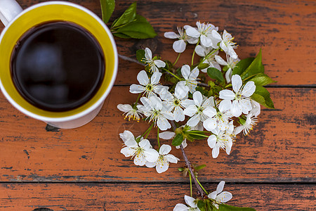 黑色 破旧的木制桌椅上的一杯咖啡 配有白色花朵的树枝装饰 樱桃树花 选择性焦点居住馒头面包糕点美食盘子花枝蛋糕面团咖啡杯图片