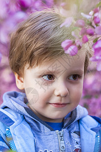 一个孩子在粉红色的苹果花中的画像 盛开的苹果树 苹果园的春天开花 演示文稿 海报 横幅和贺卡的背景花序问候花朵螃蟹装饰晴天男生季图片