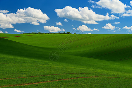 美丽的春天风景 蓝天 阳光和云彩土地天空植物生长太阳地平线环境爬坡假期场景图片