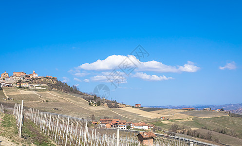意大利皮埃蒙特地区的Barolo和Barbaresco农村 种植红酒葡萄的藤园 Unesco场地丘陵葡萄园天空农村藤蔓国家农业收图片