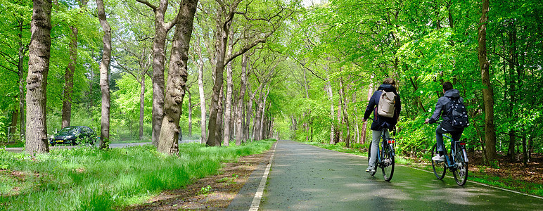男孩骑自行车从学校回家 直到在Holland的春林图片