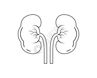 肾图标矢量图设计健康人体科学解剖学医疗癌症肾载体医生泌尿科家庭图片