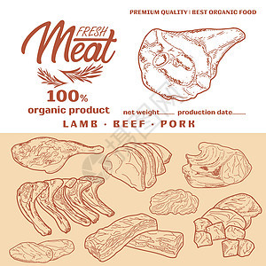 新鲜生肉雕刻设计插图鸭子火鸡营养店铺羊排家禽屠夫鱼片产品图片