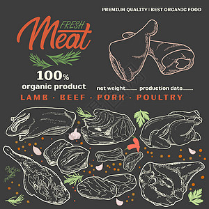 模板框架中的生肉牛扒标签羊排烹饪鱼片插图屠夫羊肉火鸡市场图片