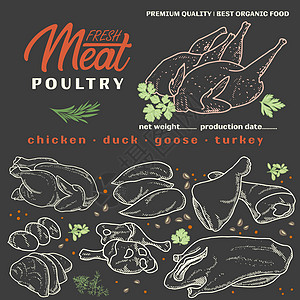 模板框架中的生肉屠夫家禽绘画食物牛肉鱼片标签羊肉涂鸦火腿图片