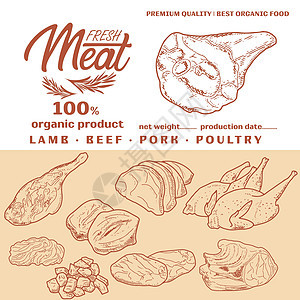 新鲜生肉雕刻设计食物绘画收藏市场鸭子羊排羊肉猪肉营养牛扒图片