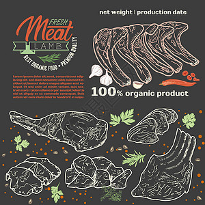 模板框架中的生肉产品插图牛肉收藏屠夫火腿食物火鸡牛扒鱼片图片