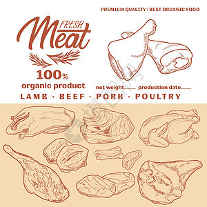 新鲜生肉雕刻设计标签羊肉屠夫收藏市场火鸡牛肉鸭子产品猪肉图片
