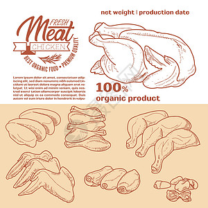 新鲜生肉雕刻设计店铺市场火鸡收藏插图鱼片熏肉标签食物菜单图片