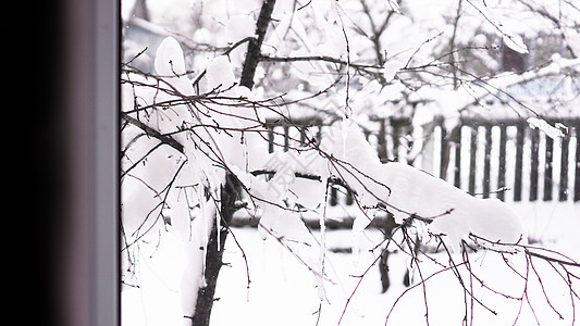 透过窗口看见的冬季风景木头雪堆水晶生长农村树木蓝色暴风雪季节树干图片