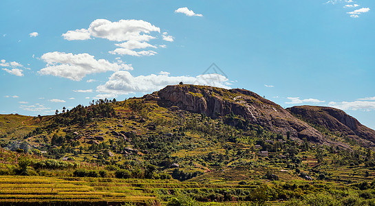 马达加斯加典型地貌景观     安博西特拉附近带泥土房屋的小山上绿色和黄色水稻梯田栽培场地环境农场爬坡农作物建筑天空蓝色热带图片